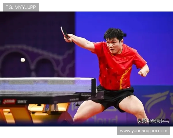 乒乓球专题：深入解析杭州乒乓球队的训练节奏与发展策略